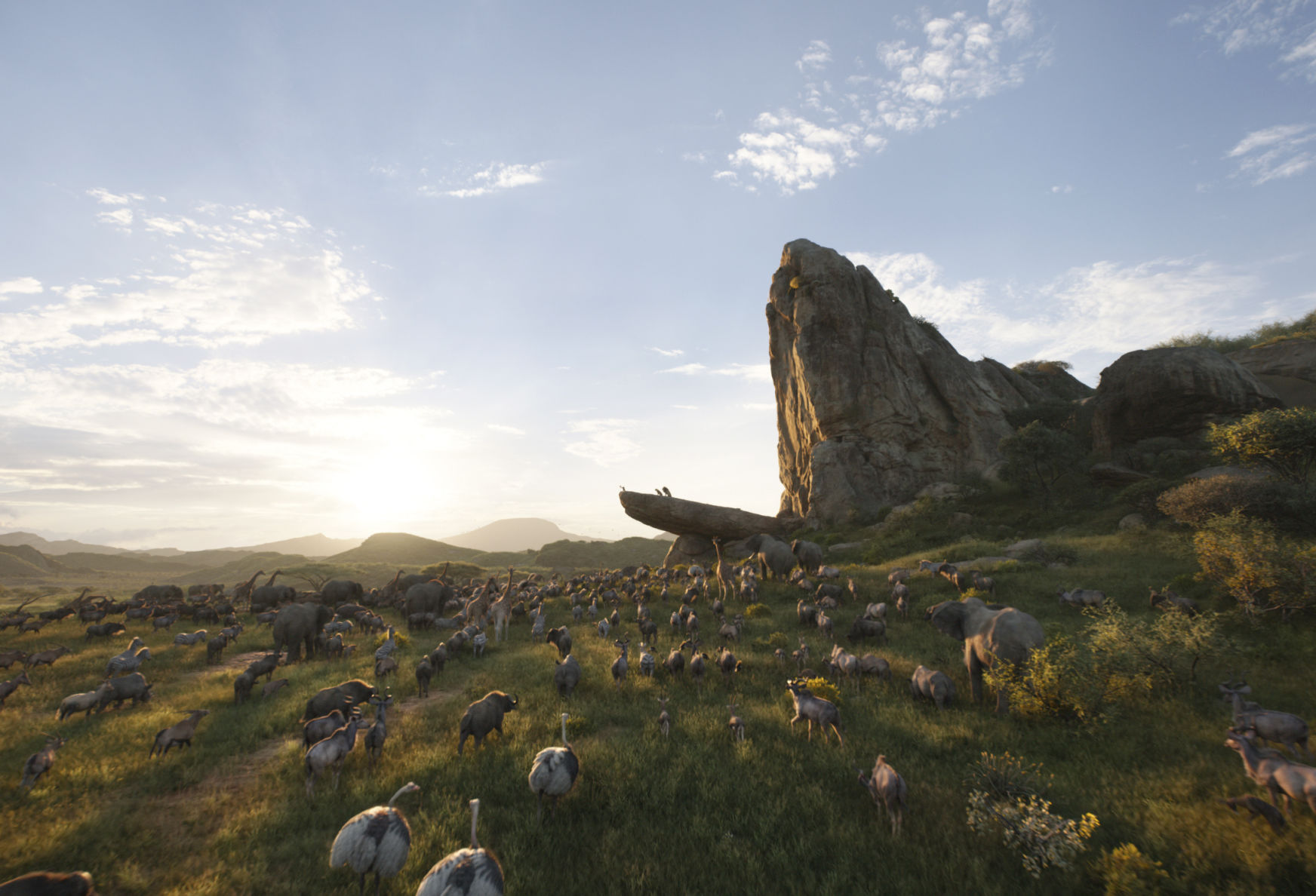 Film Review - The Lion King